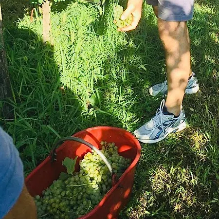 Alloggio per agriturismo Incanto Del Garda *