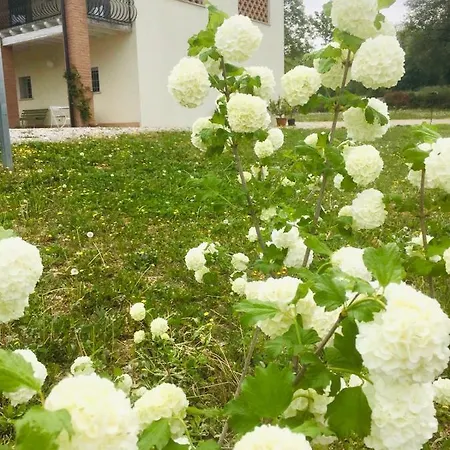 Alloggio per agriturismo Incanto Del Garda *